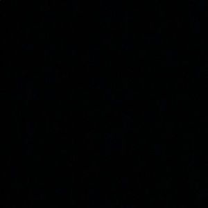 Meet your Posher, Ava